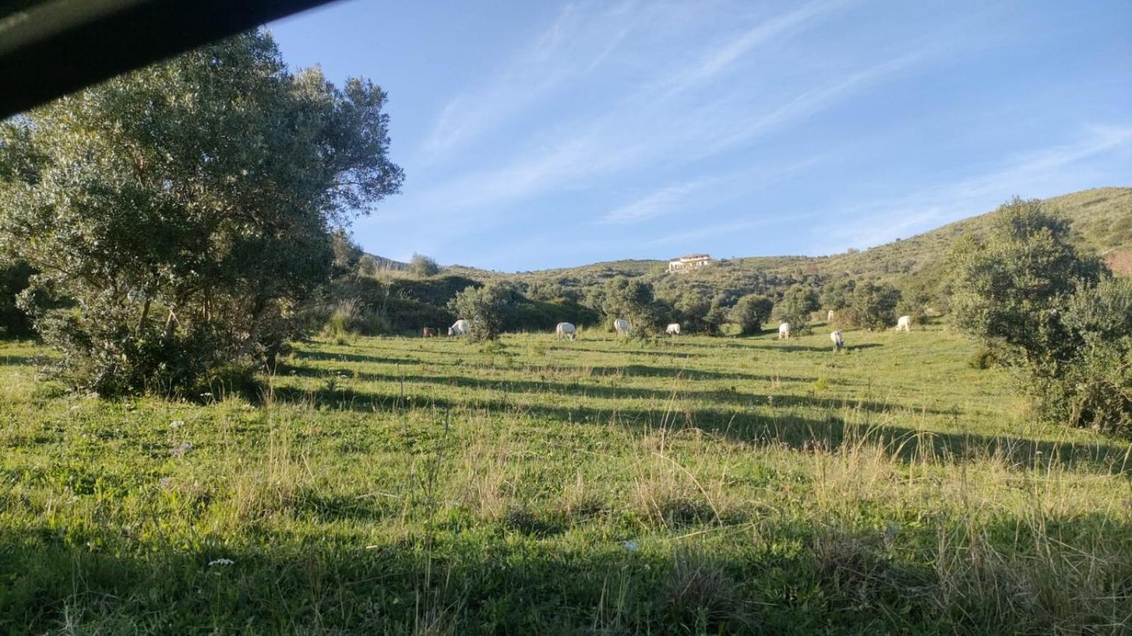 Il Panorama Housing Cilento Aparthotel Santa Maria di Castellabate Bagian luar foto