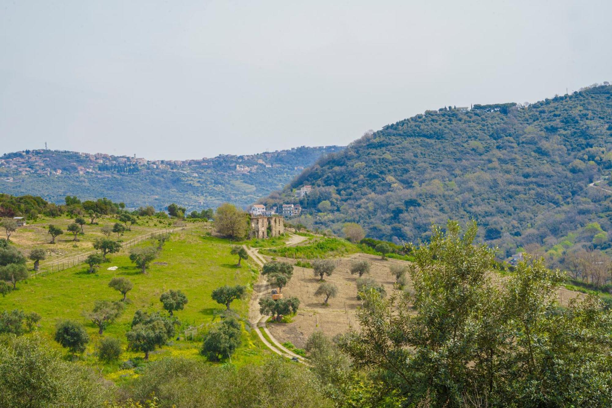 Il Panorama Housing Cilento Aparthotel Santa Maria di Castellabate Bagian luar foto